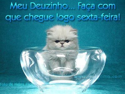 Sexta-Feira_796860195_38_sexta_feira.jpg